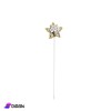 Star Shape Pin With Strass