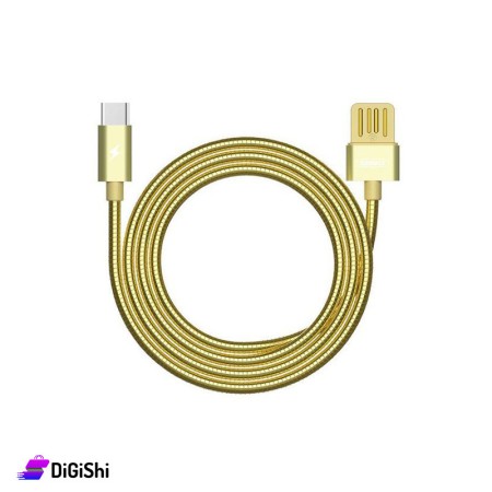 REMAX 080A For Type-C Gold Cable