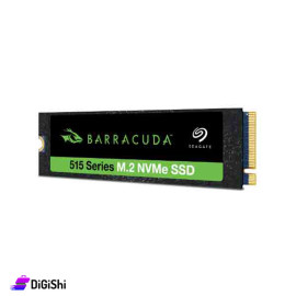 Seagate Barracuda NVME SSD ZP1000CV3A002