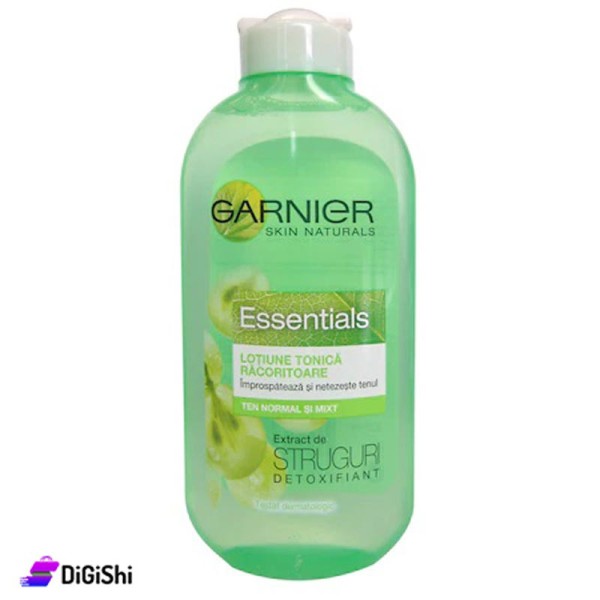Shop Garnier Essentials Grape Water Toner | DiGiShi