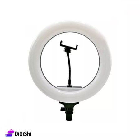 Ring Light Circular Lamp  6 inch