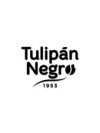 Tulipan Negro
